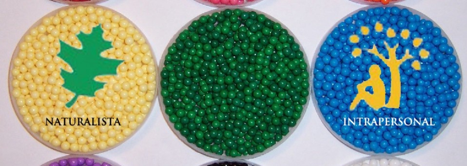 ¡¡¡ULTIMAS PLAZAS!!! SEMINARIO ON-LINE: NUEVE COLORES PARA APRENDER